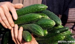 凹凸嫚吃瓜,揭秘娱乐圈背后的那些事儿