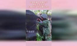 吃瓜第一视角,我眼中的娱乐圈风云